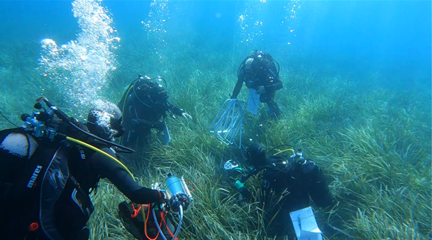 Marine applications for field spectroradiometry
