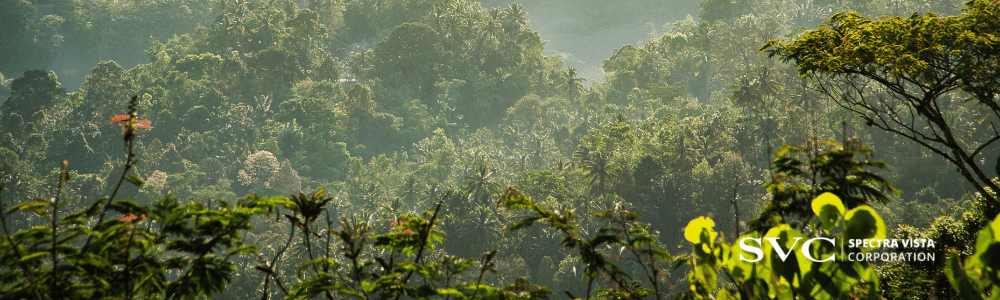 spectroscopy in forestry