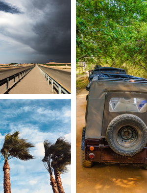 Collage of four travel photos: stormy highway, forest canopy with an SUV, wind-swept palm trees, and a dusty off-road vehicle on a dirt road.