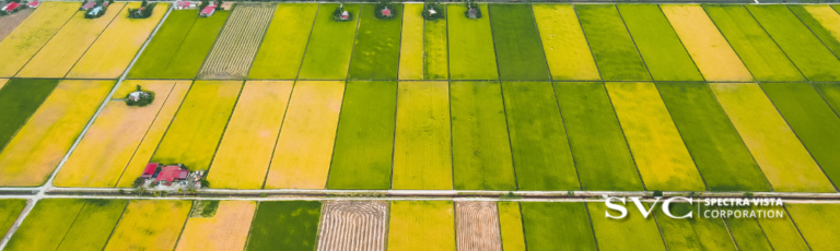 Leaf Reflectance Spectroscopy