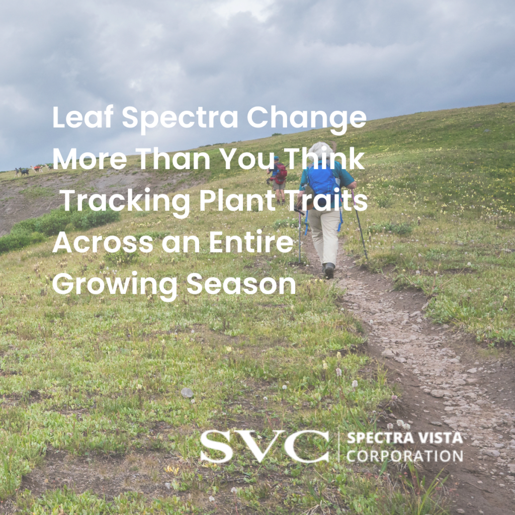 Leaf Reflectance field Spectroscopy