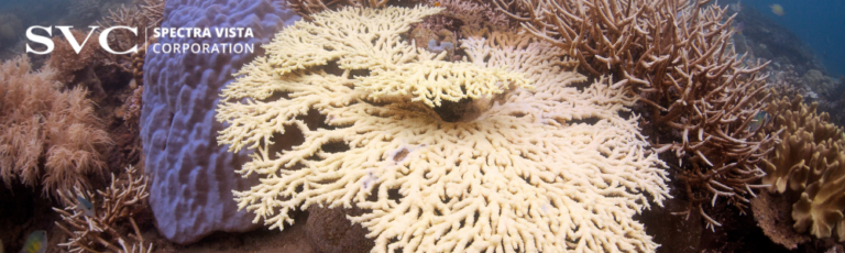 coral health monitoring