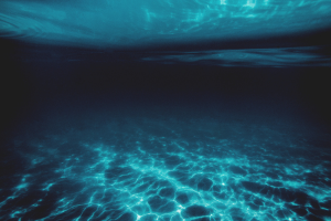 ocean color remote sensing