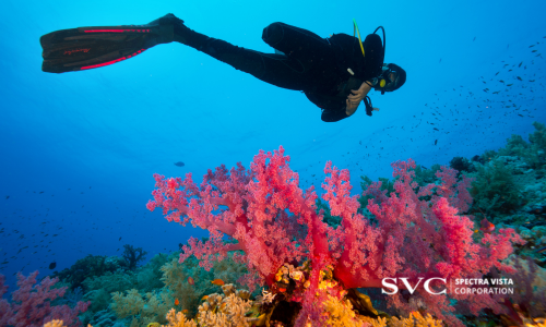underwater field research